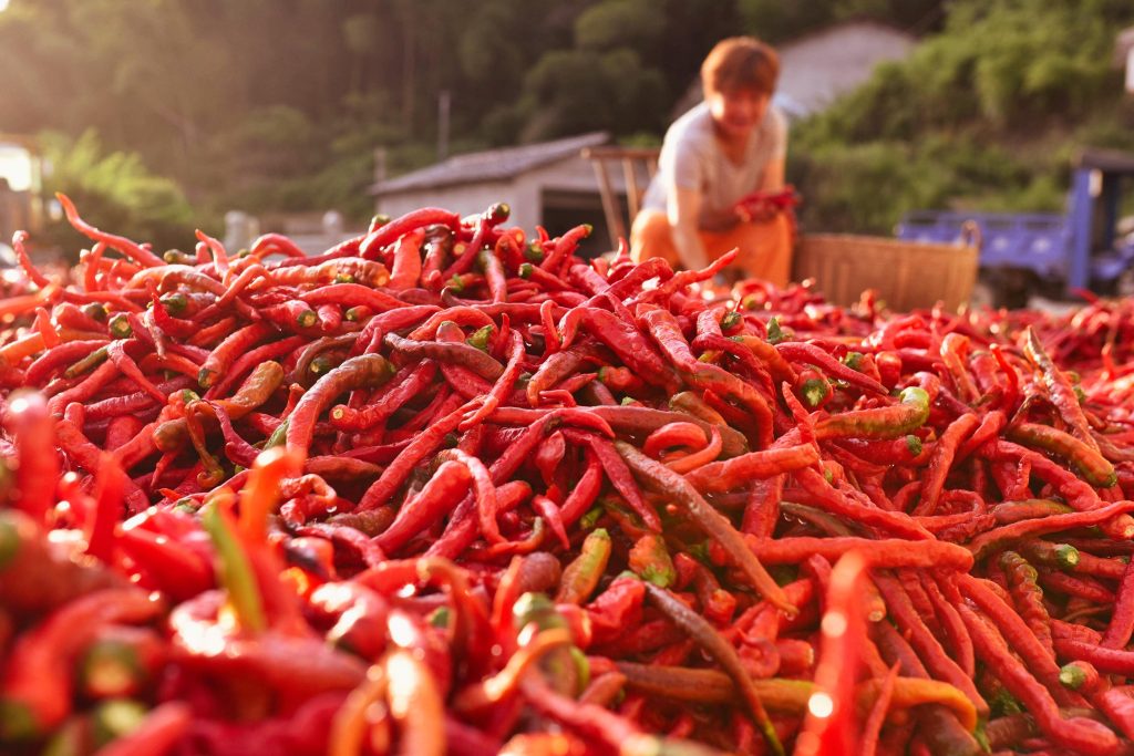 China Paprika Manufacturer and Global Supplier | Dinweys® Qingdao