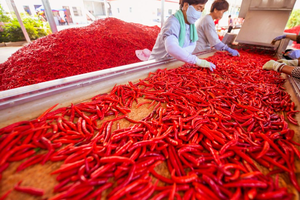 China Paprika Manufacturer and Global Supplier | Dinweys® Qingdao