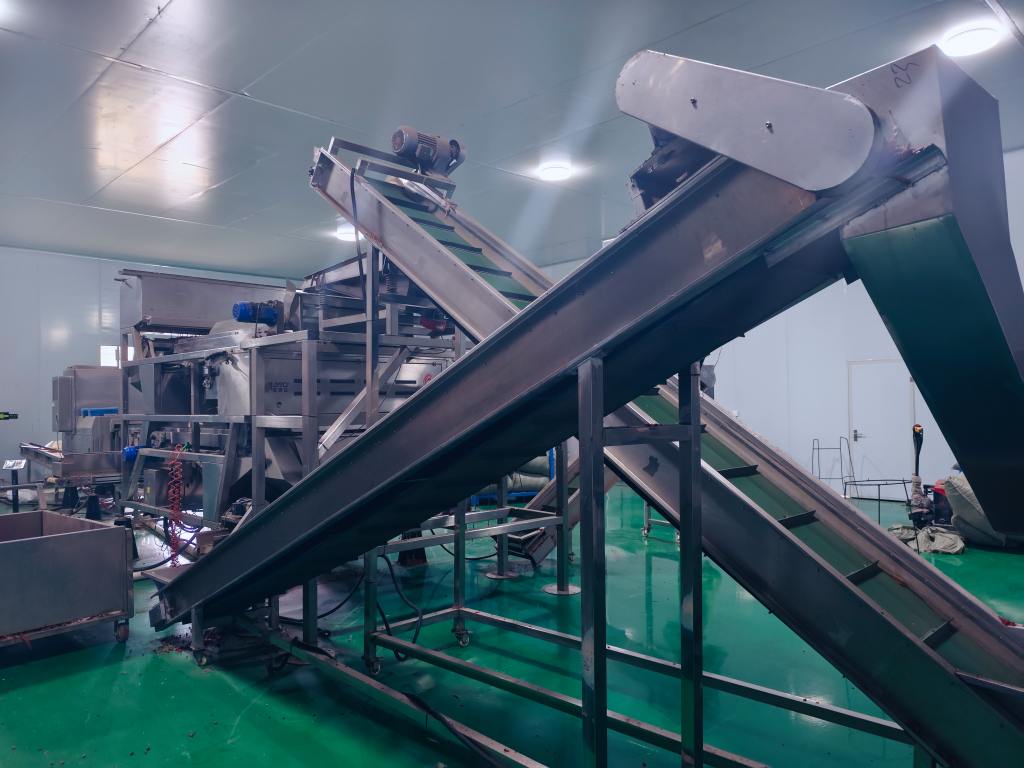 China Paprika Factory | DINWEYS Qingdao